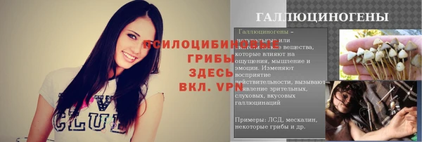 экстази Алексин