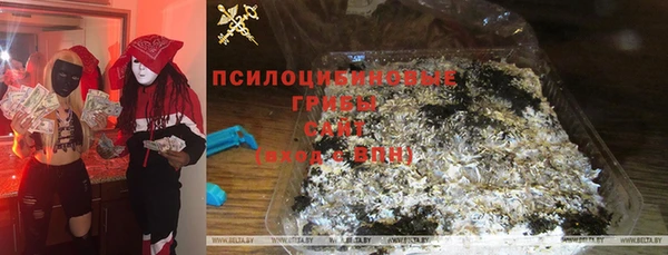 амф Алзамай